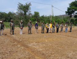 Produksi Jagung Meningkat Berdamak Positif Terhadap Pendapatan Petani