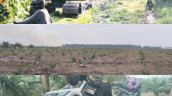 Excavator di kawasan Hutan Lindung Sijinjang Pesisir Selatan diduga membuka akses perkebunan sawit