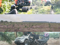 Excavator Diduga Beroperasi di Hutan Lindung Sijinjang Tanpa Izin