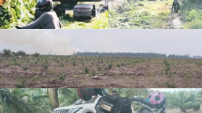 Excavator Diduga Beroperasi di Hutan Lindung Sijinjang Tanpa Izin