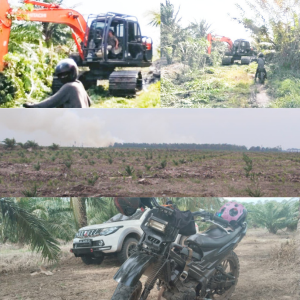 Excavator di kawasan Hutan Lindung Sijinjang Pesisir Selatan diduga membuka akses perkebunan sawit