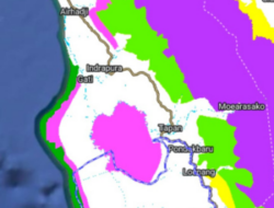 Siasat di Balik Hijau Sawit Pesisir Selatan