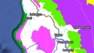 Siasat di Balik Hijau Sawit Pesisir Selatan