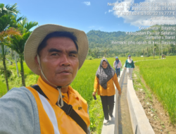 Irigasi Tersier Rampung 100 Persen, Produktivitas dan Kesejahteraan Petani Meningkat