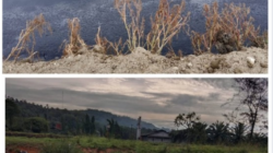 Kondisi kolam limbah dalam kasus gugatan lingkungan PT SSJA oleh AJPLH.