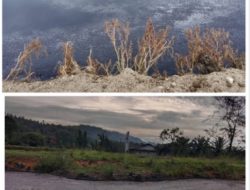 Gugatan Lingkungan PT SSJA di PN Mukomuko: AJPLH Perbaiki Posita