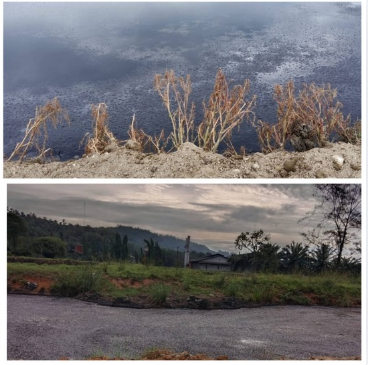 Kondisi kolam limbah dalam kasus gugatan lingkungan PT SSJA oleh AJPLH.