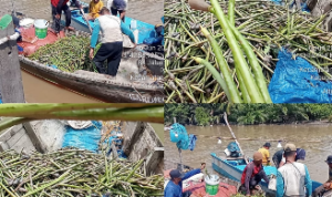 Relawan AMPHIBI bersama Kelompok Tani Hutan Nelayan
