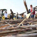 Dampak Penguatan Sektor Pertanian