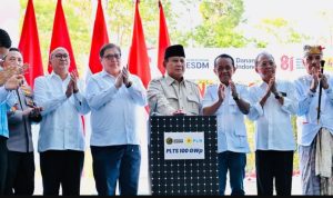 Luncurkan PLTS 100 GWp di Jembrana, Presiden